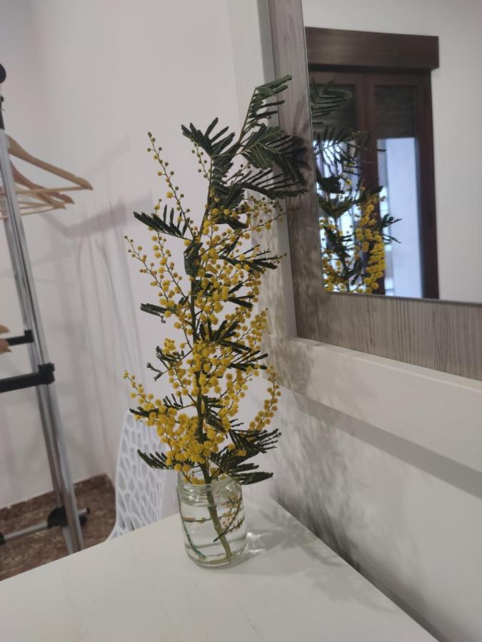 La Casa De La Mimosa Apartment Кордоба Екстериор снимка